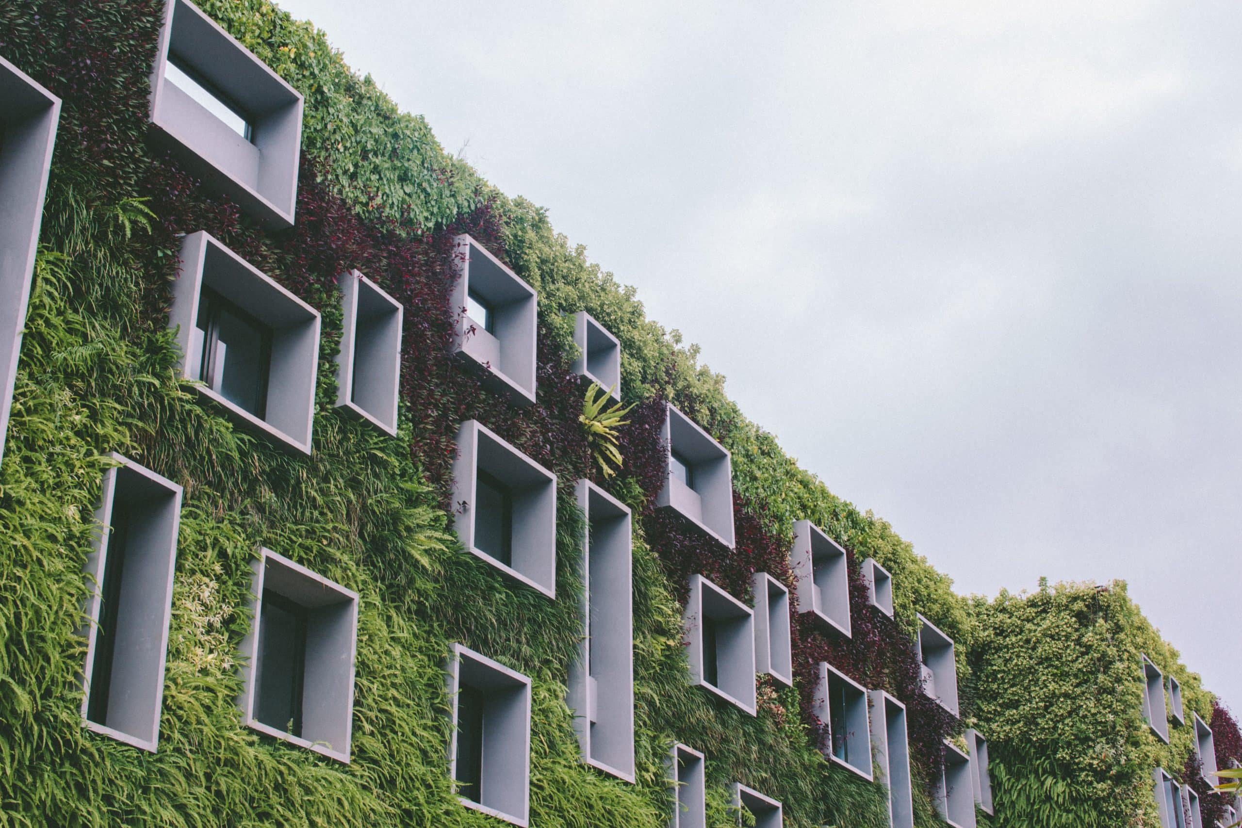 Building with wall covered in plants
