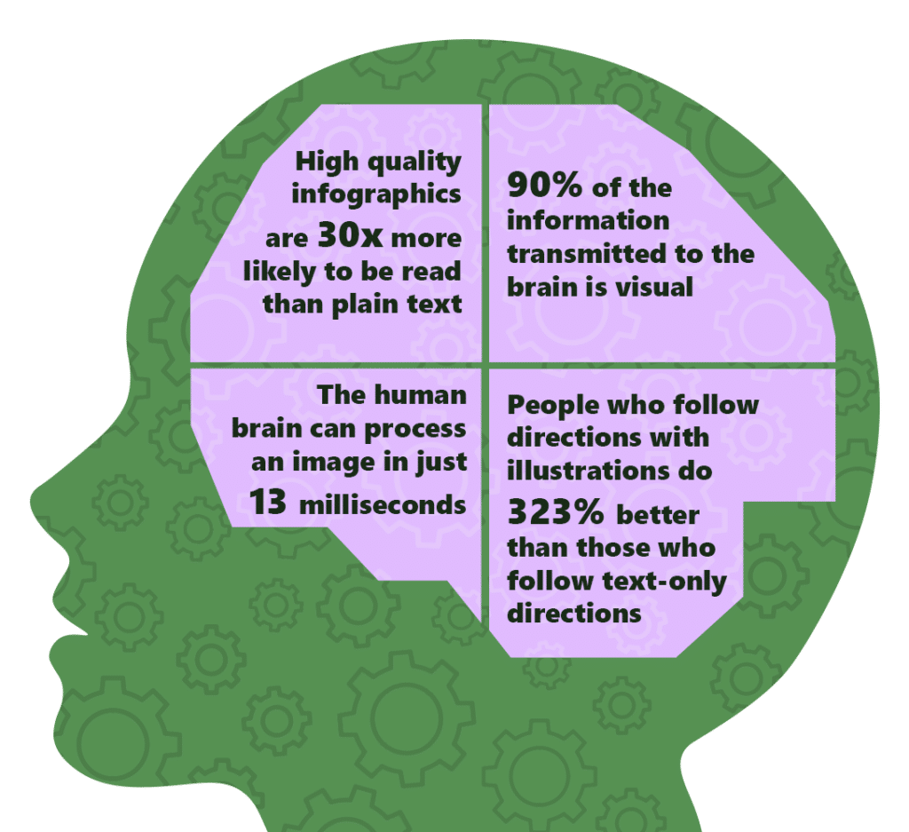 Brain Info