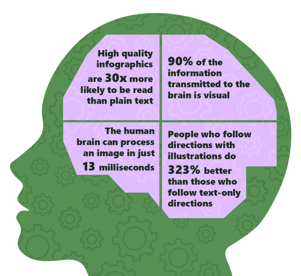 Brain Info