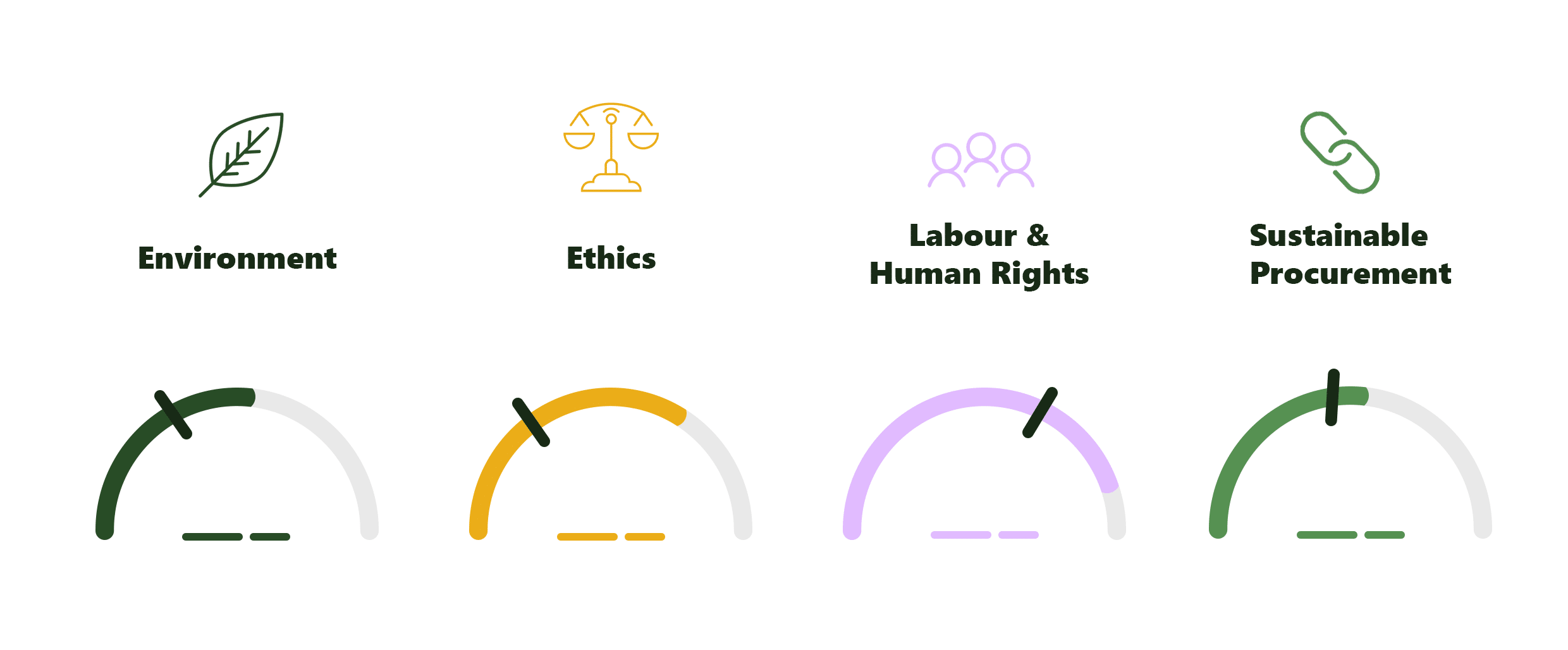 Ecovadis scale in Sustainit branding