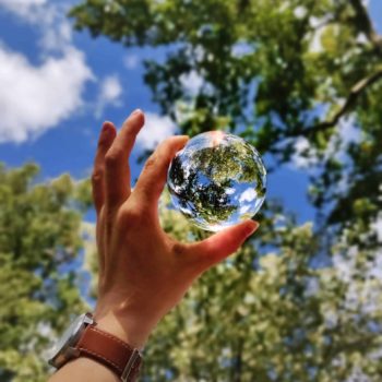 Hand holding a glass ball reflecting a view of tree tops and sky