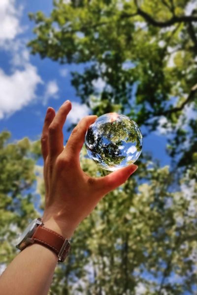 Hand holding a glass ball reflecting a view of tree tops and sky