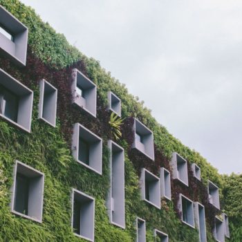 Building with wall covered in plants