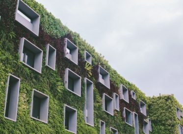 Building with wall covered in plants