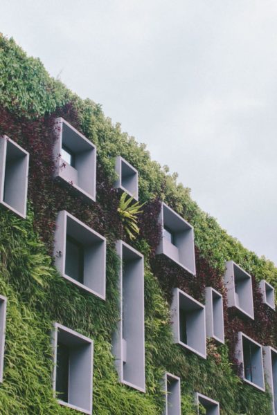 Building with wall covered in plants