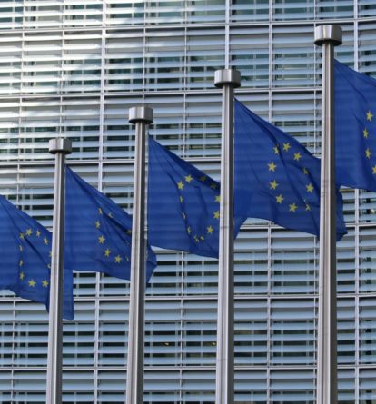 EU flags in a row