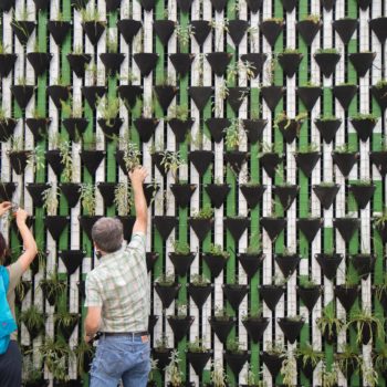 Two people look at a wall of plants