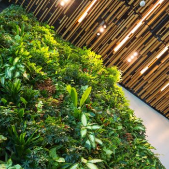 Office building with plant wall