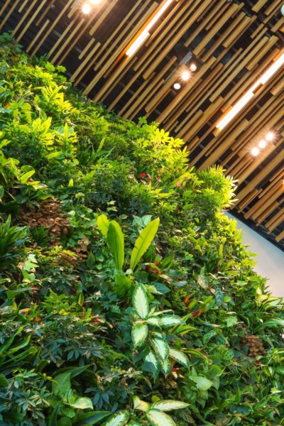 Office building with plant wall