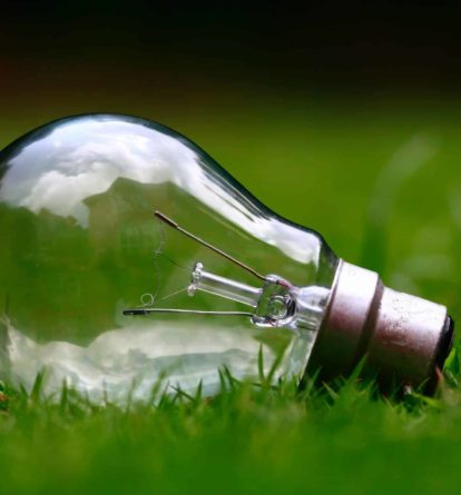 Lightbulb in the grass
