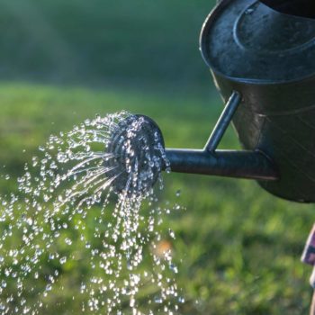 Watering can