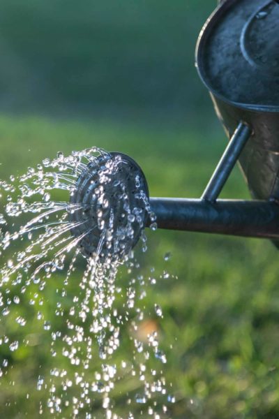 Watering can