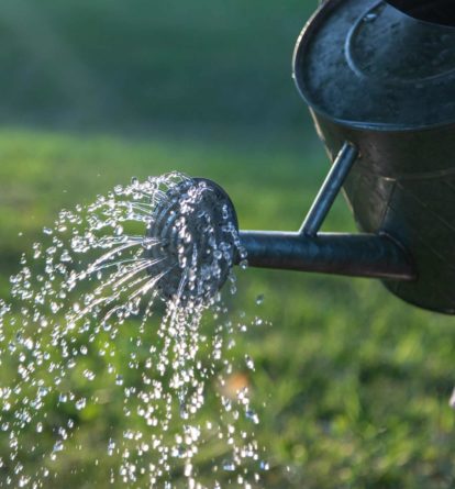 Watering can