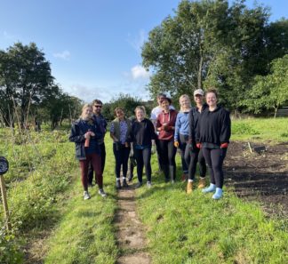 Team volunteering day