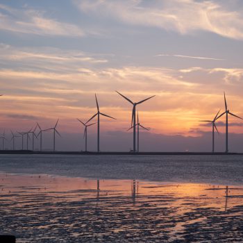 Wind turbines on the coast at sunset