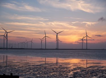 Wind turbines on the coast at sunset